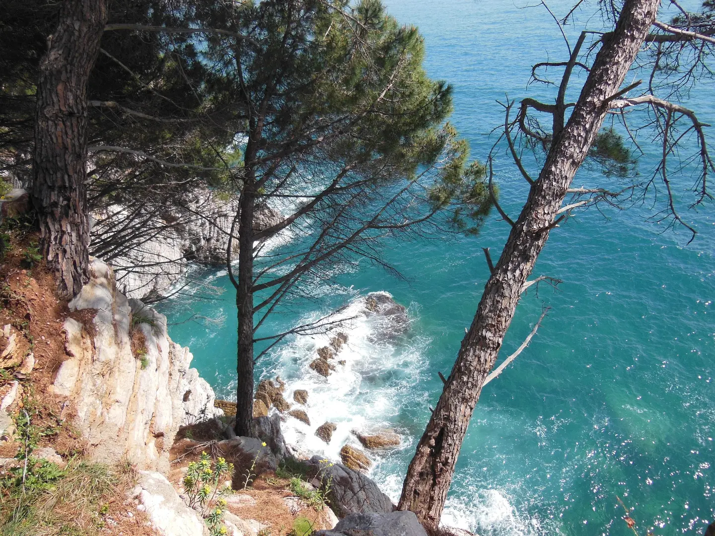 Cliffs and sea along the path