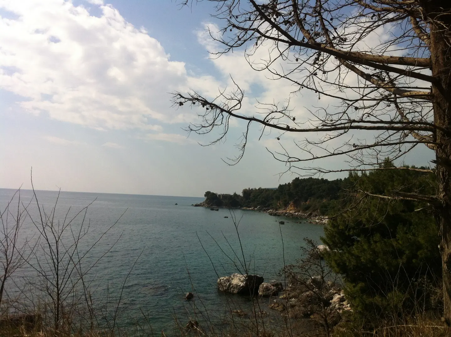 The sea near Zankovići