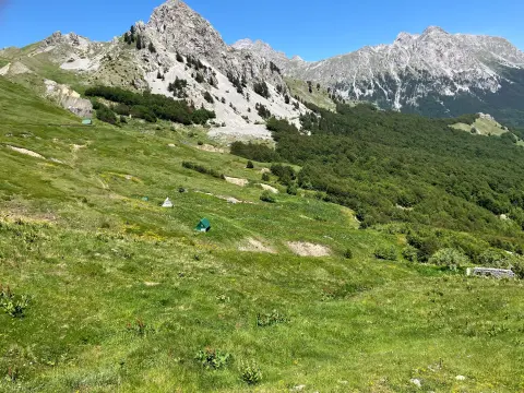 Mojan – Kapuran – Carine
