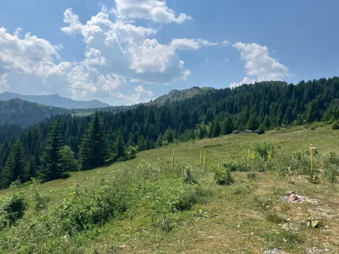 Katun Road Borderline Heights