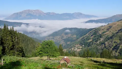 Brezojevice – Visitor