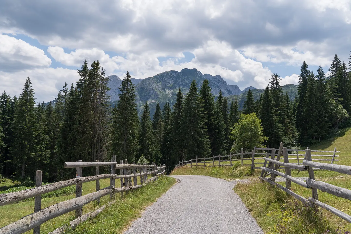 Kratka staza u NP Durmitor – od parkinga prema Crnom Jezeru