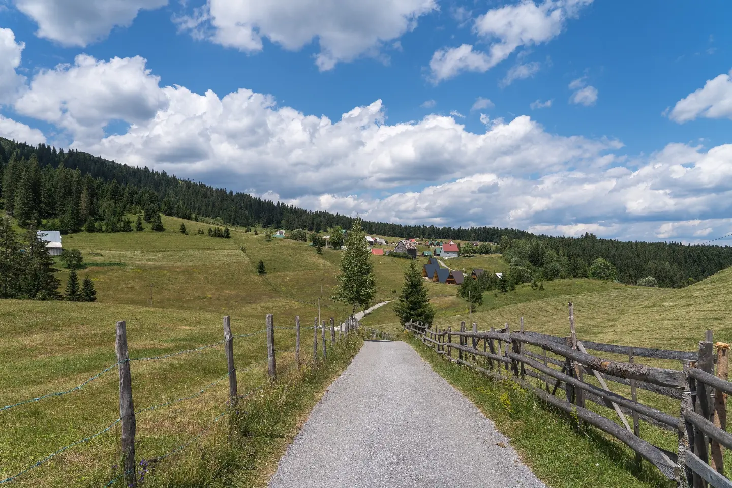 Track through the meadows above Black Lake