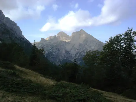Komovi