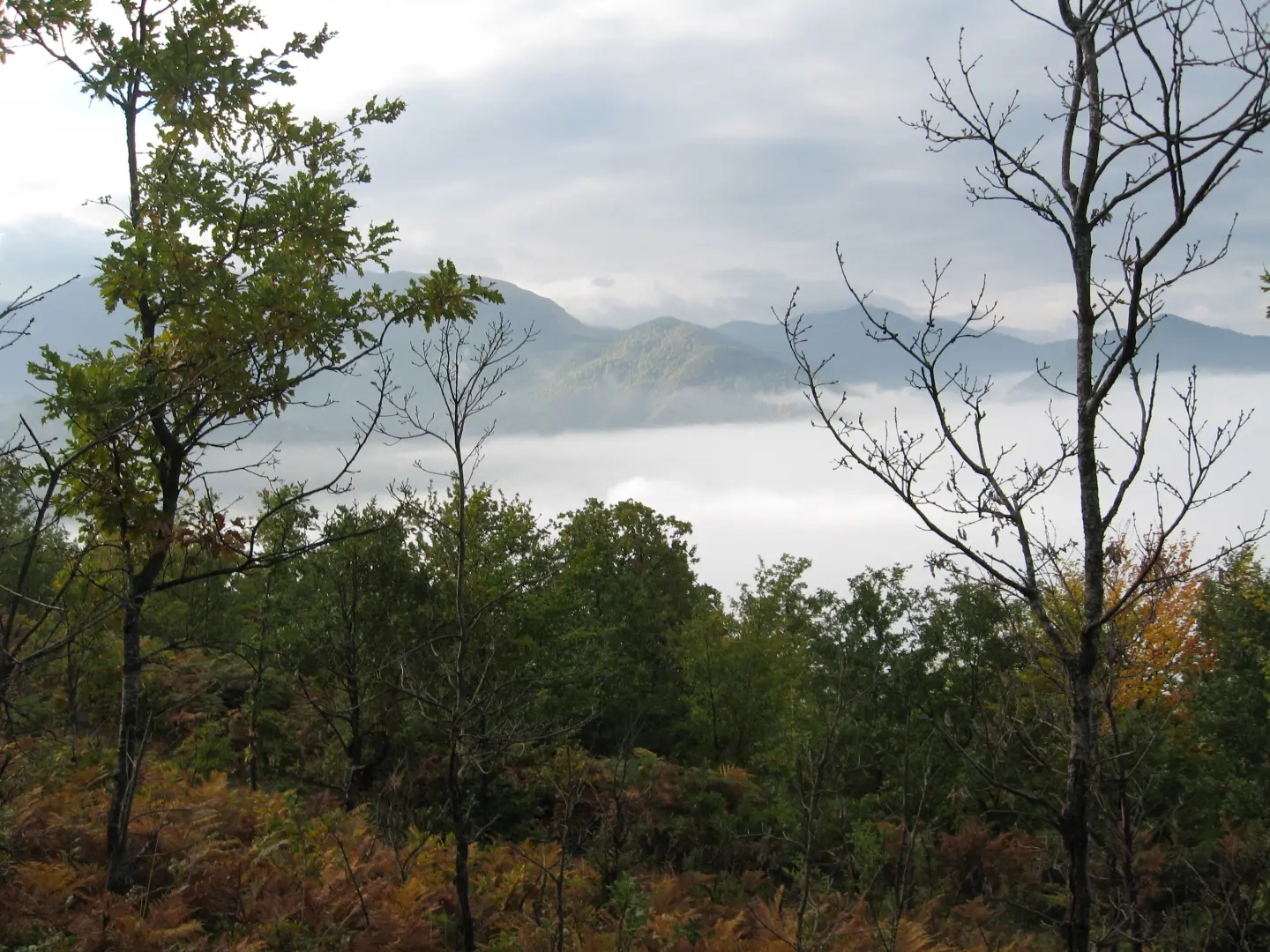 Magla nad dolinom Tare kod Mojkovca