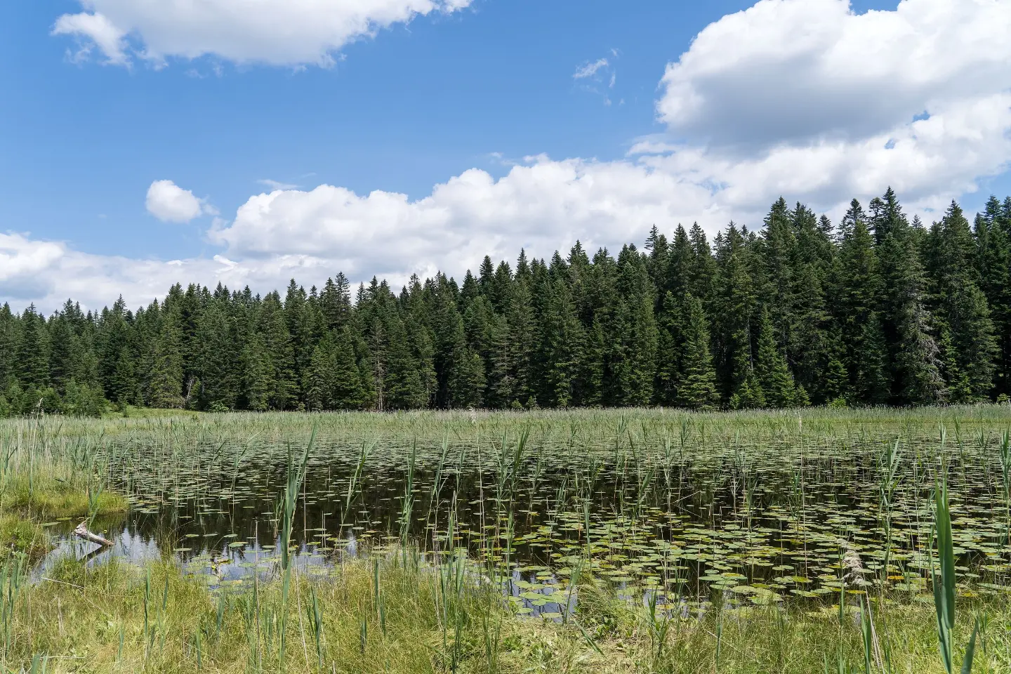Barno jezero – Zminje jezero – Crno jezero