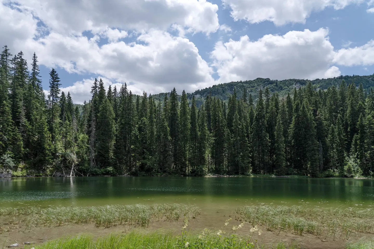 Zminje Lake