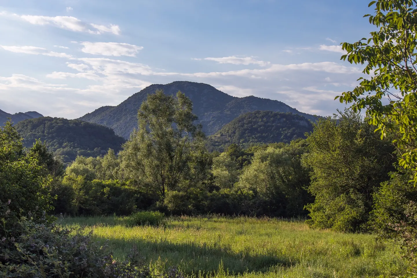 Landscape in Boljevići