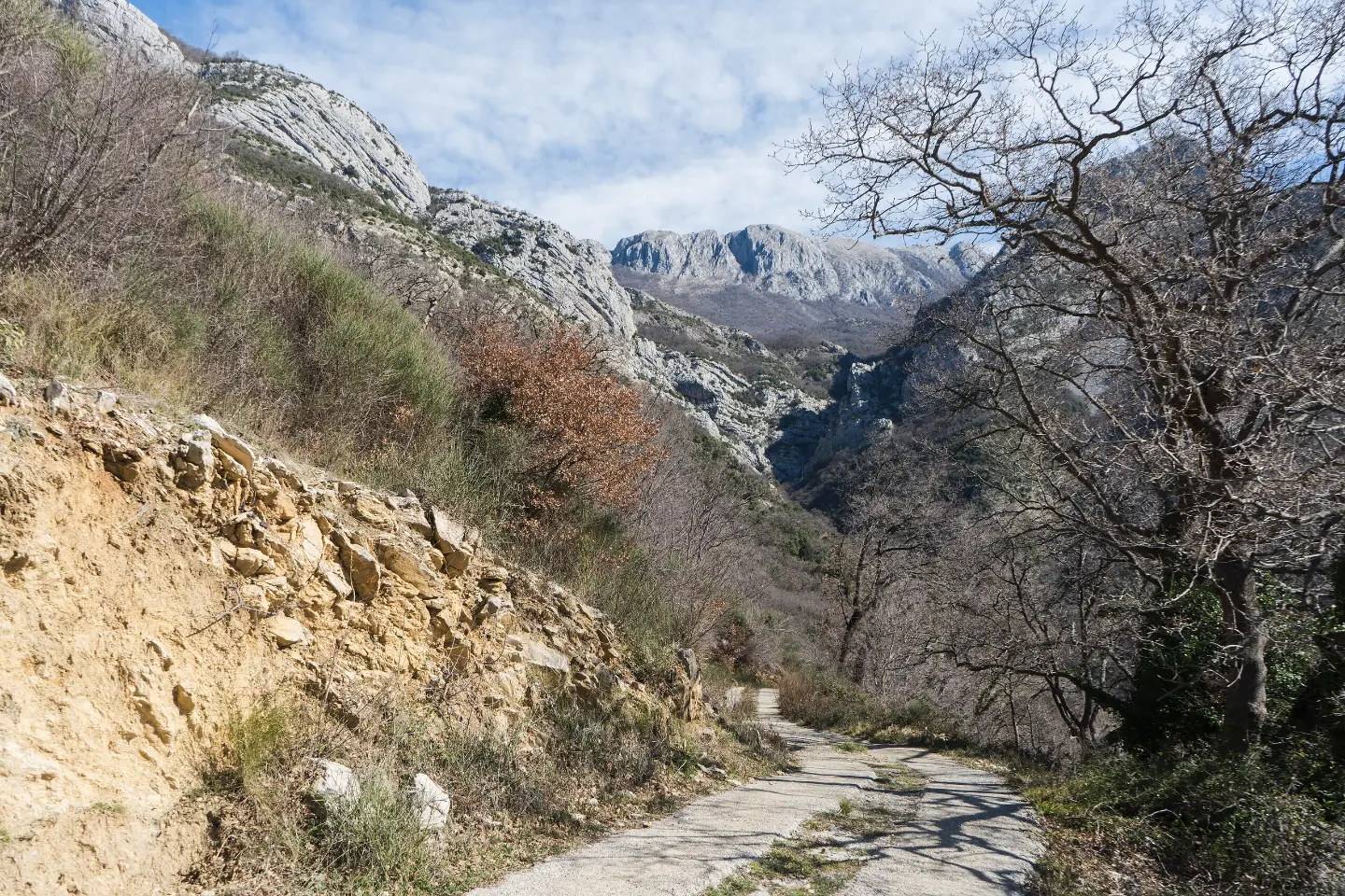 Planine iznad Starog Bara