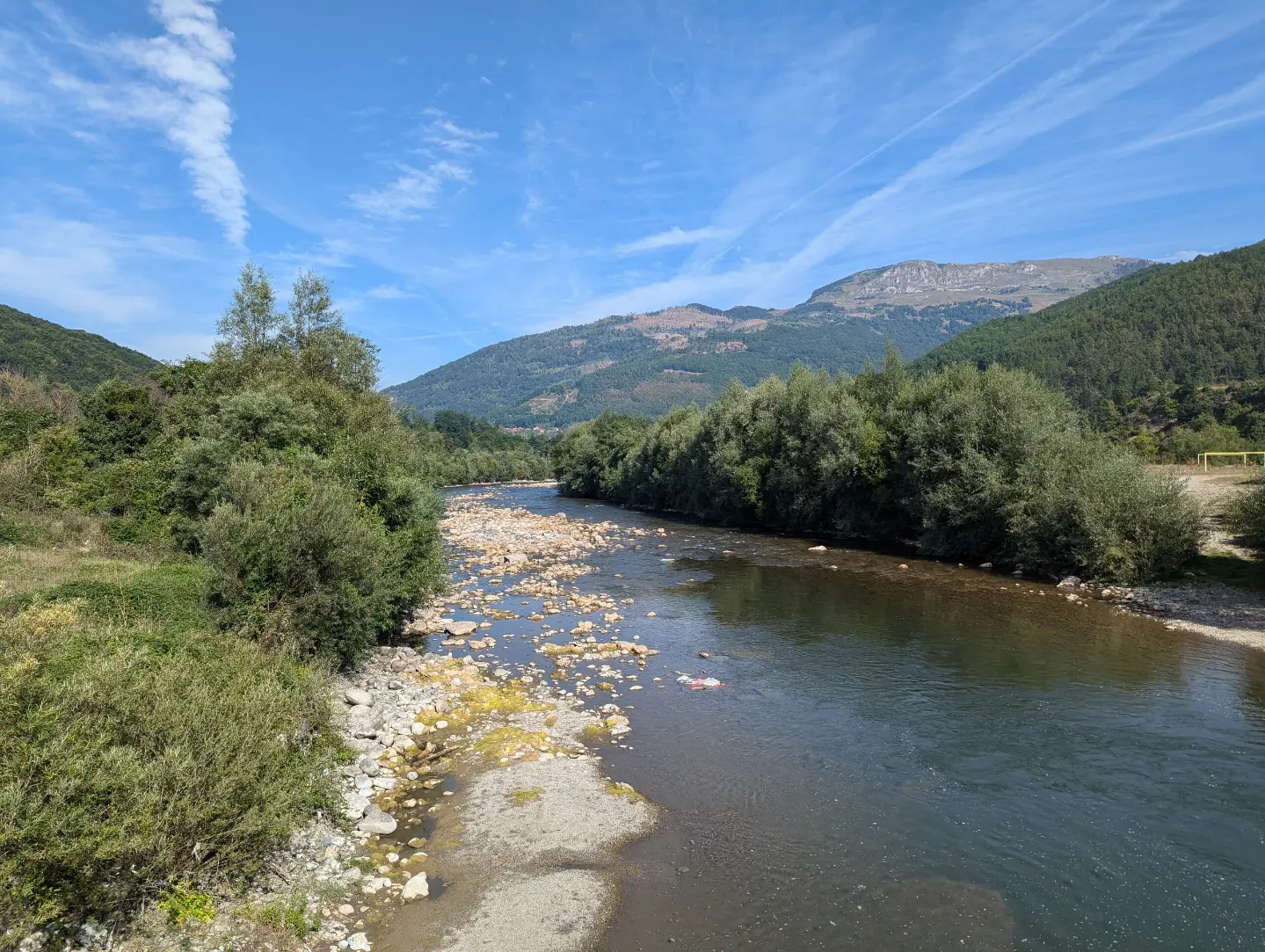 Plav
