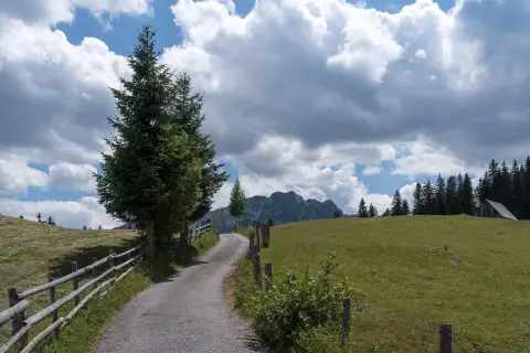 Štuoc Bike Park Enduro Trail