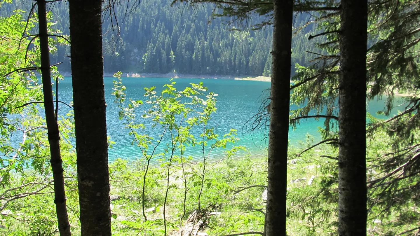 Black Lake