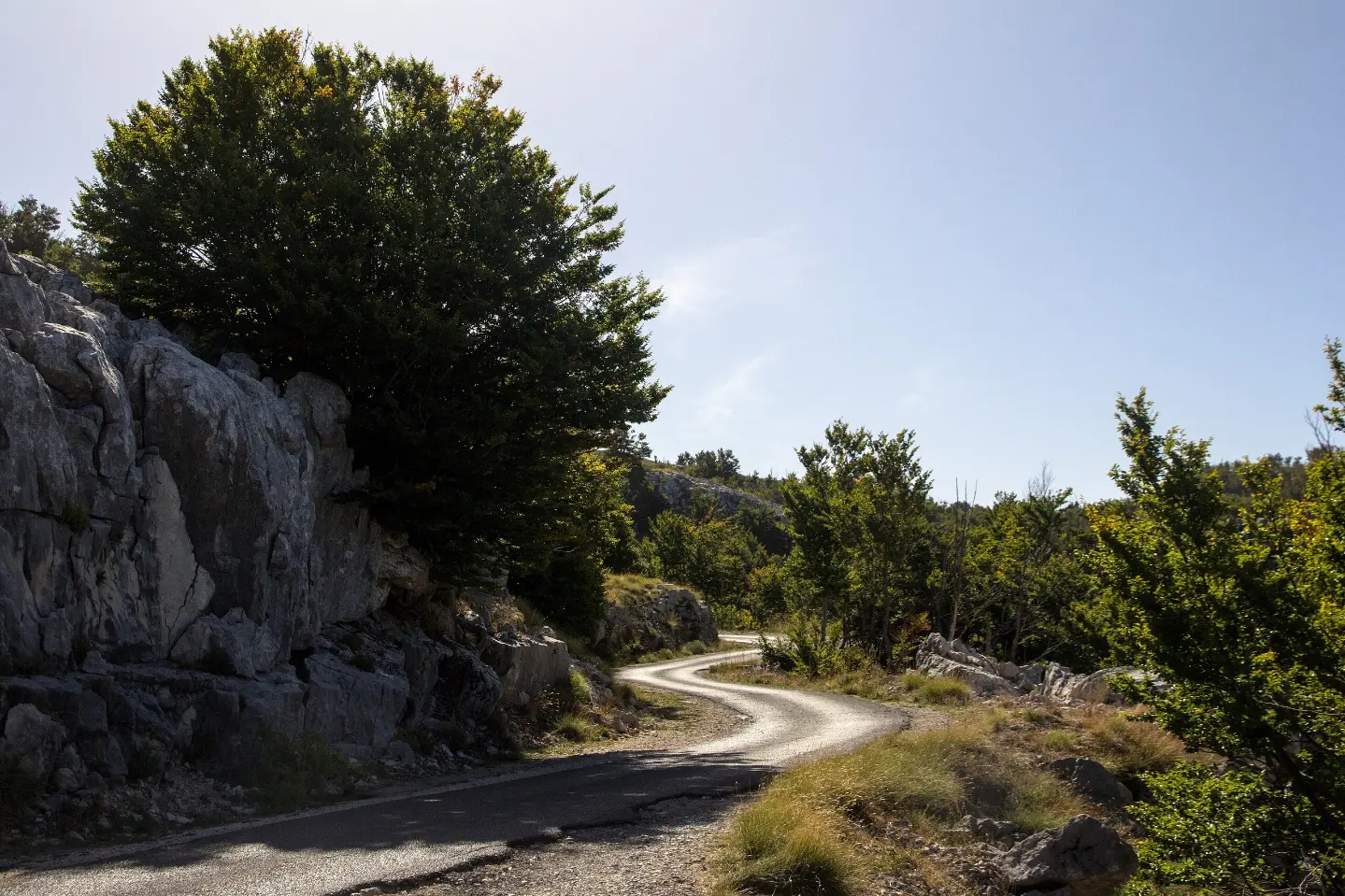 Road towards Lovćen