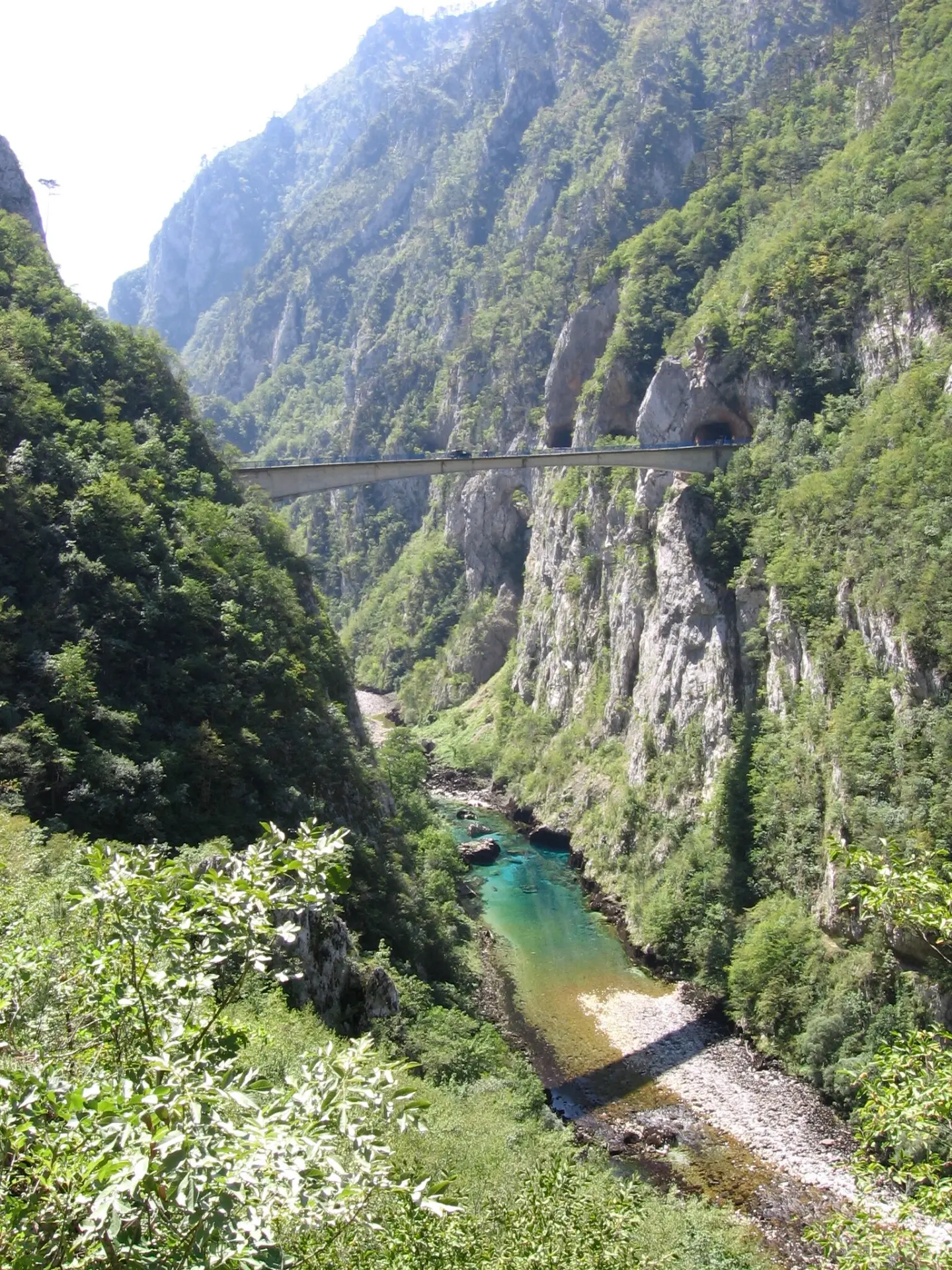 Kanjon Pive i most