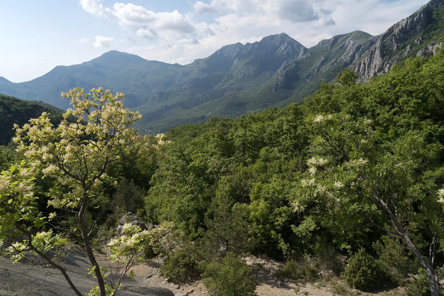 Pogled sa staze ka Bijeloj skali