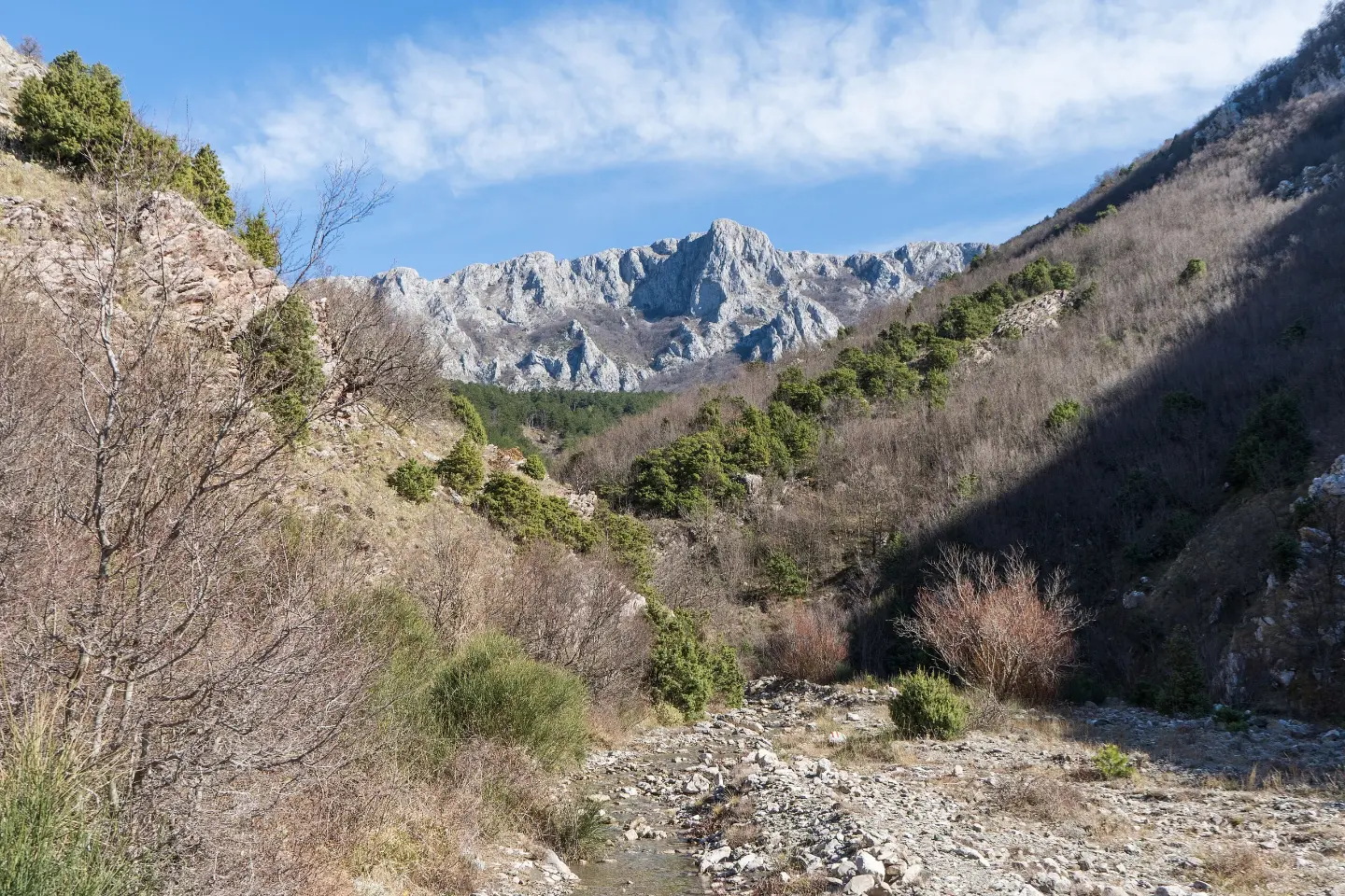 Stari bar – Baltina