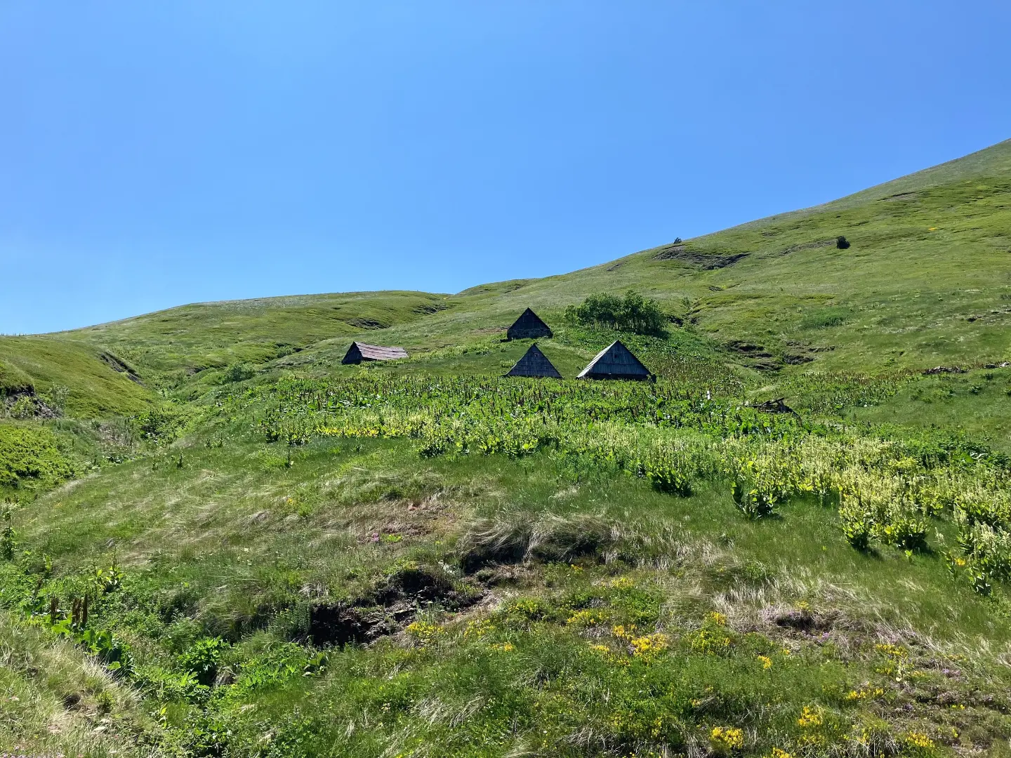 Katun na putu ka Magliću