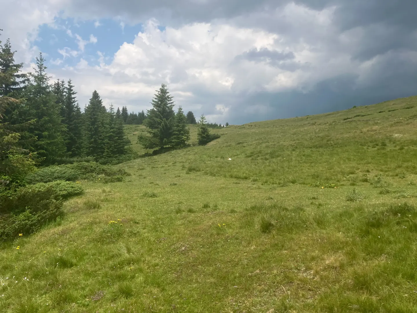 Livada kod Redžove česme