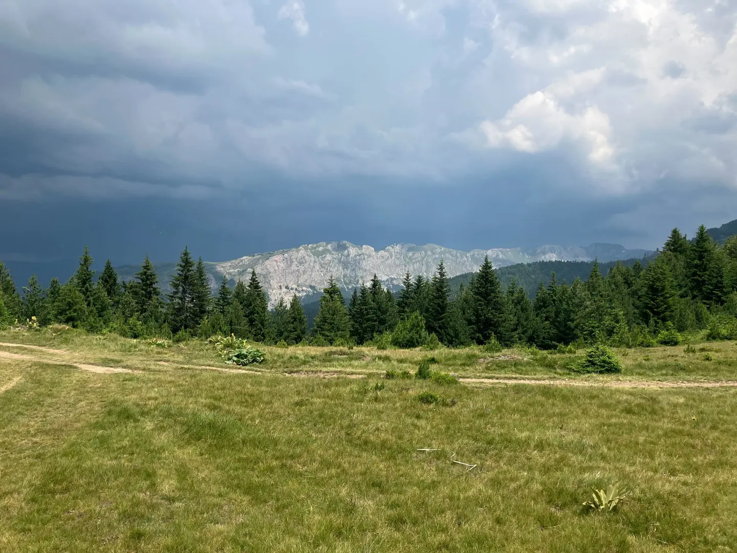 Pašnjaci na putu ka Diju