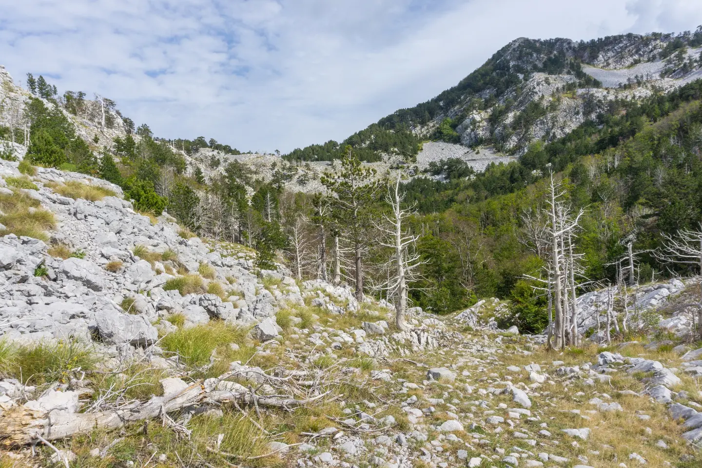 Vrbanj – Orjen sedlo