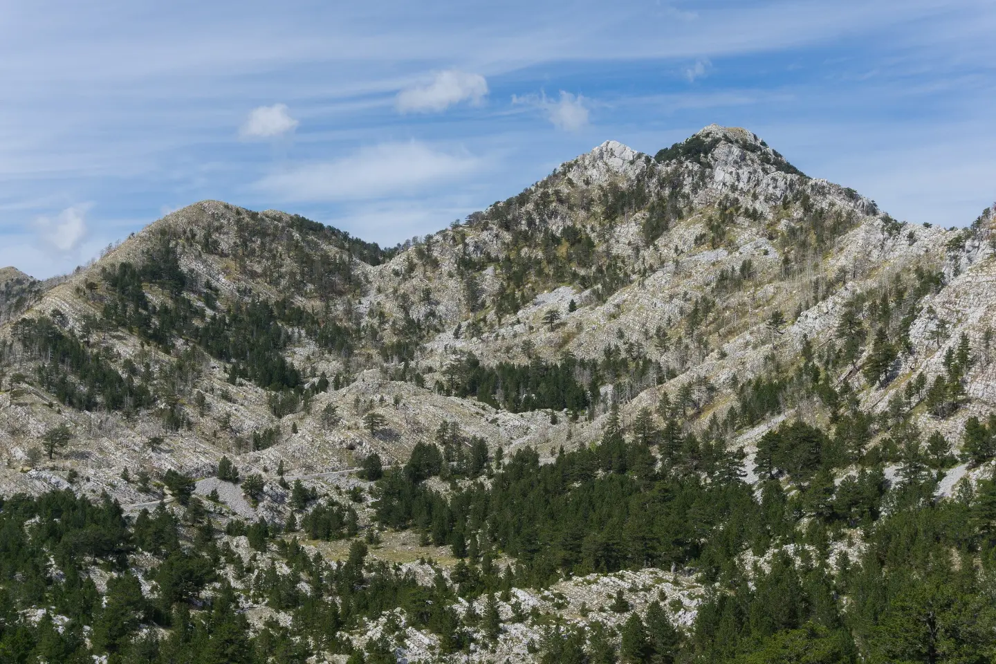 Zubački kabao, najviši vrh Orjena
