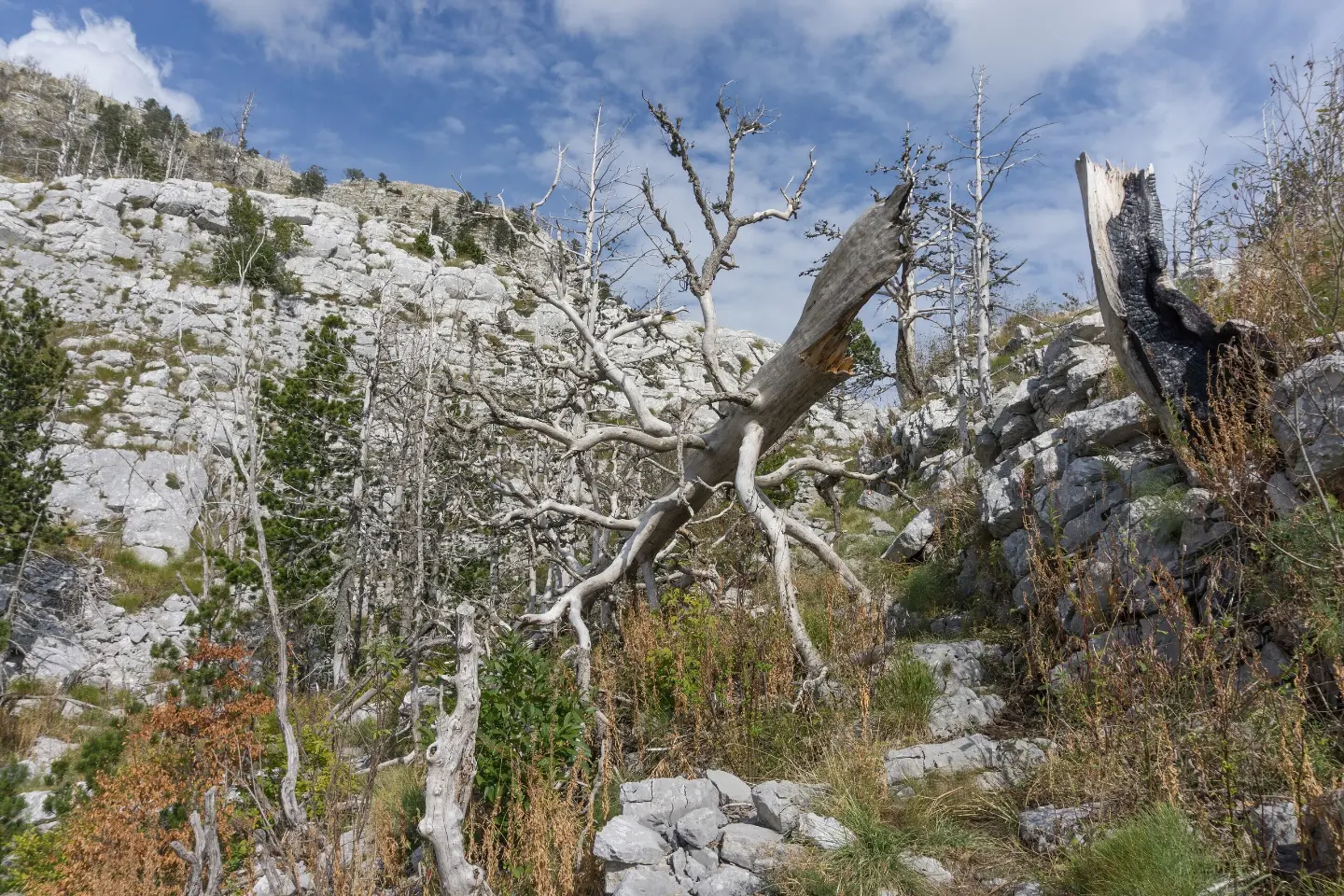 Dolina između Orjena i Vrbanja