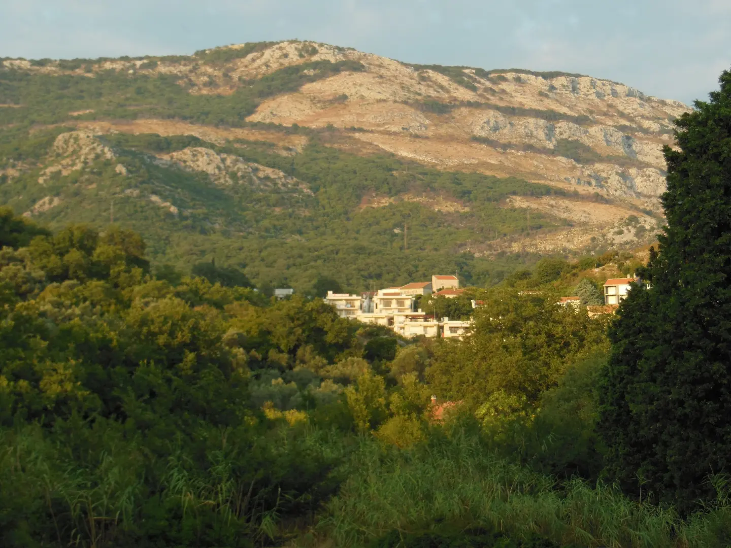 Brda iznad Petrovca