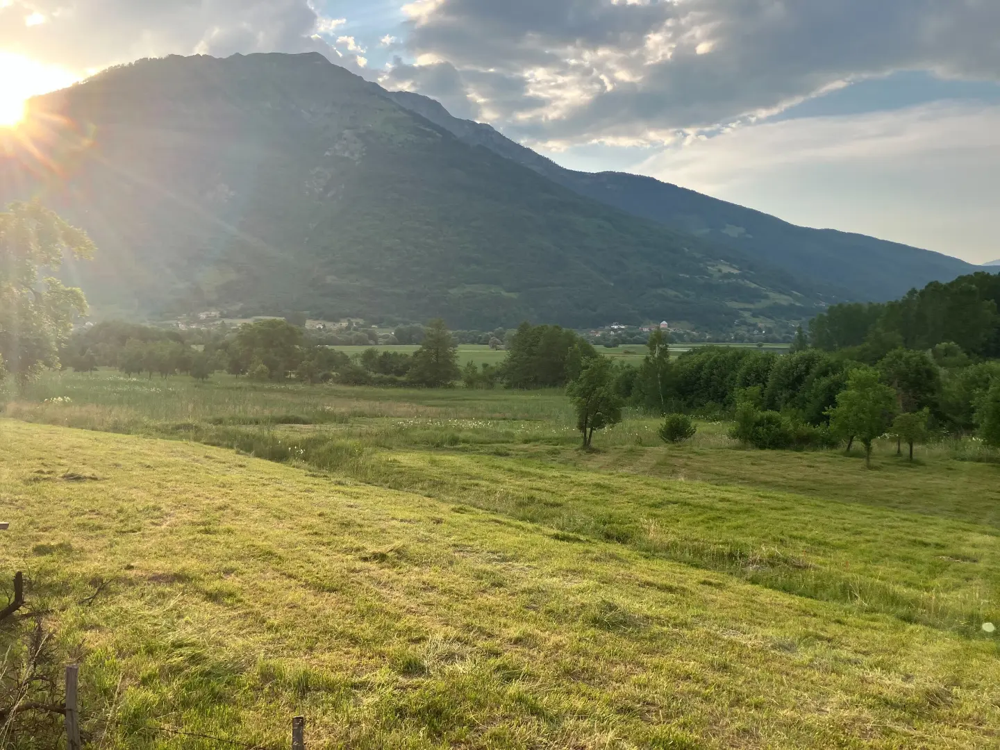 Polja kod Plava