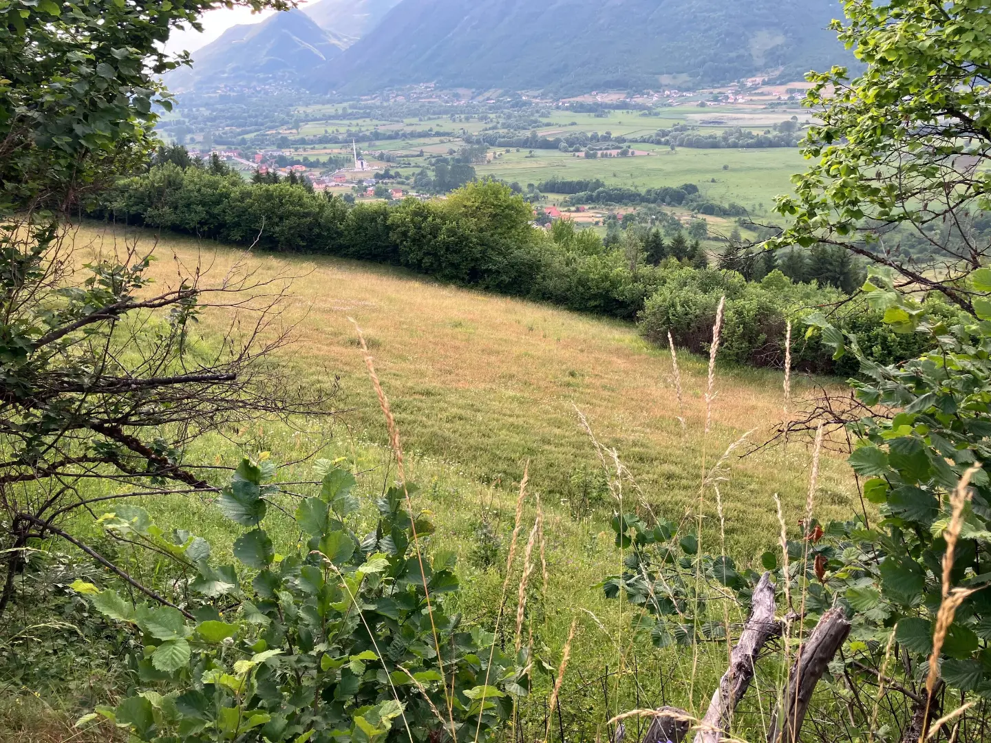 Livade iznad Plava