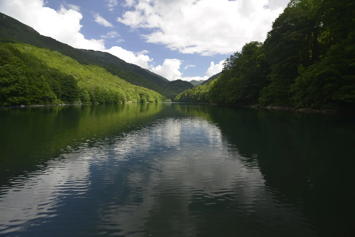 Radigojna – Goleš – Biogradsko jezero – Kraljevo kolo
