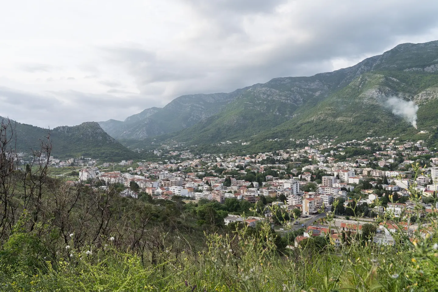 Sutomore