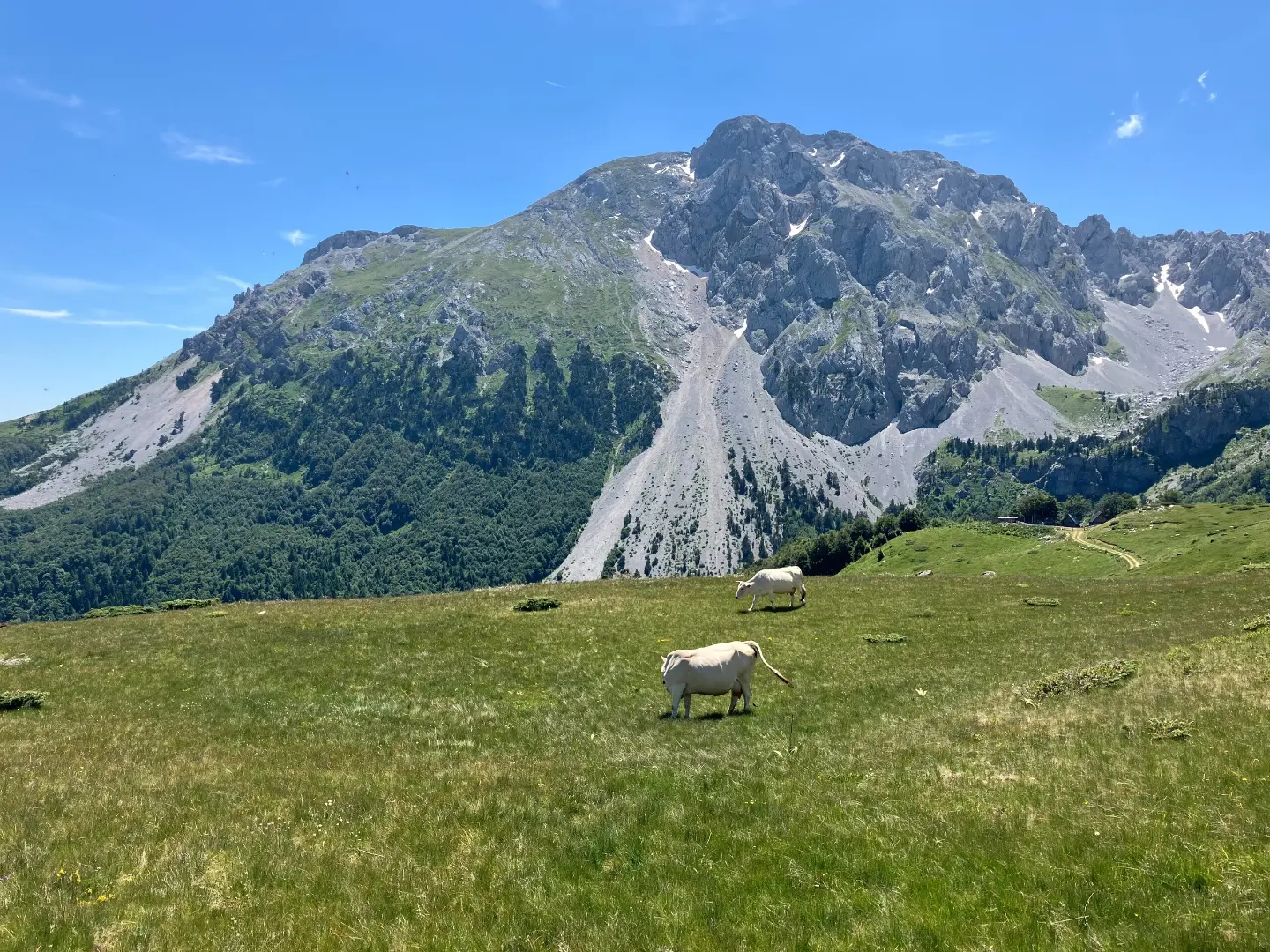 Ljuban – Ljevorečki Kom
